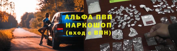 соль ск Белокуриха