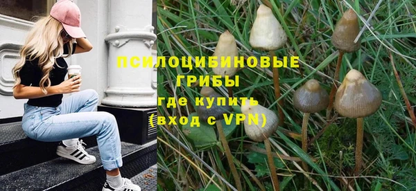 мдпв Надым