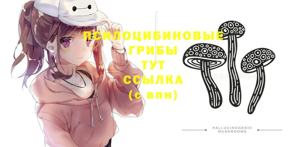 соль ск Белокуриха