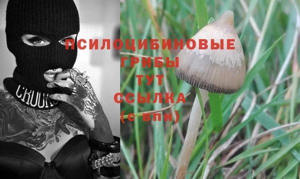PSILOCYBIN Белоозёрский