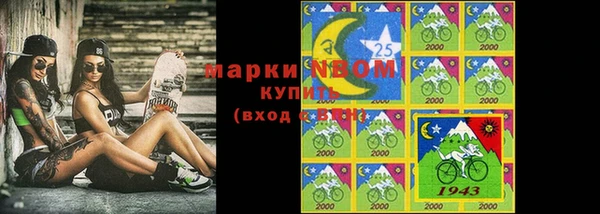 соль ск Белокуриха
