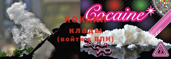 прущие грибы Мегион