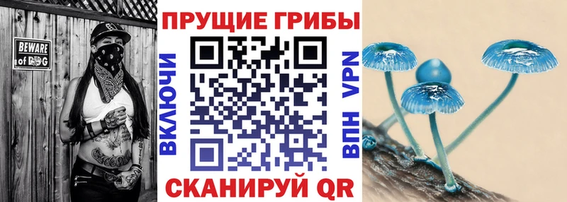 Псилоцибиновые грибы Psilocybe  mega рабочий сайт  Михайловск 